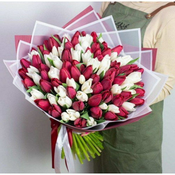 Букет из 101 красных и белых тюльпанов