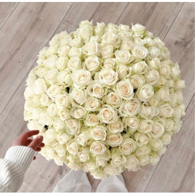 101 белая роза