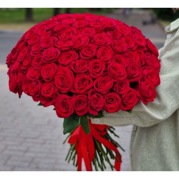 101 красная роза