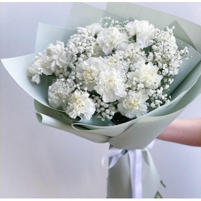 17 диантусов с гипсофилом 