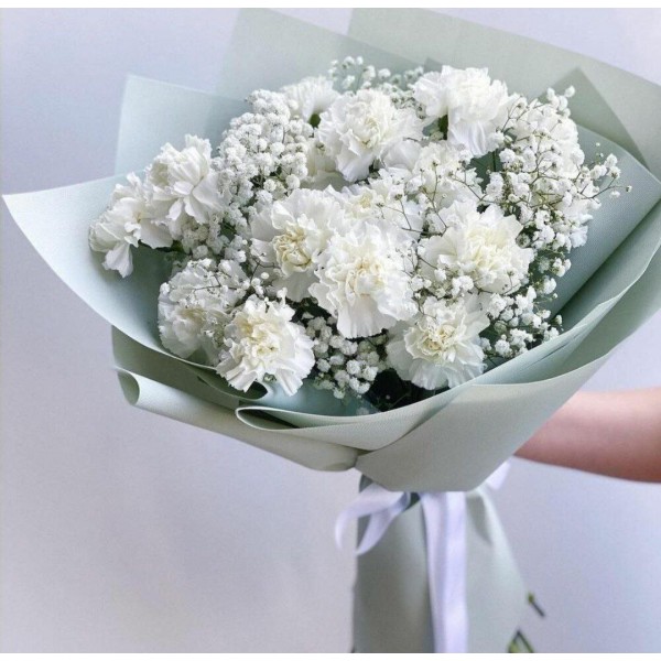 17 диантусов с гипсофилом 