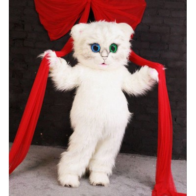 Услуги аниматора "Котик"