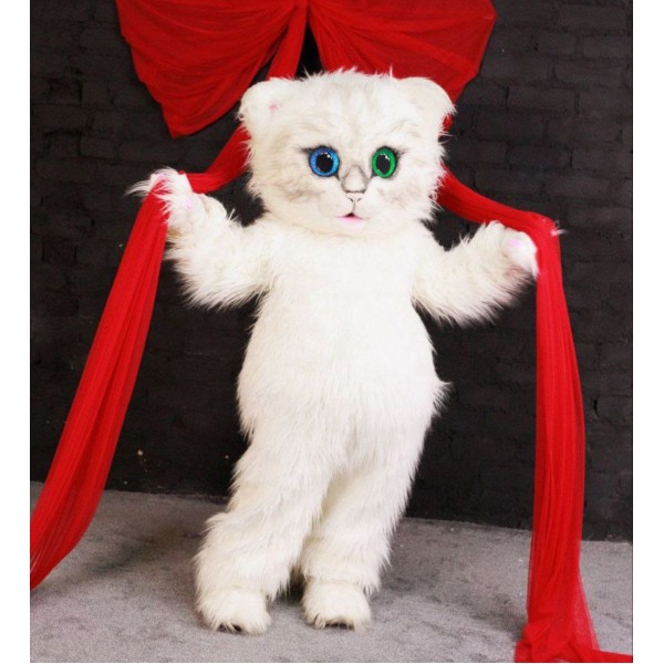 Услуги аниматора "Котик"