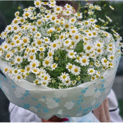 Букет "полевая ромашка"