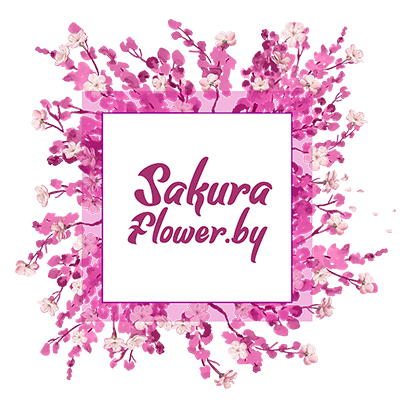 Sakura-flower.by